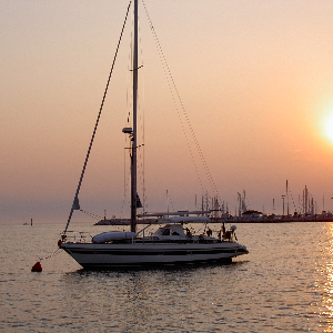 sycalypso