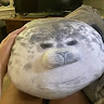 Hải Đăng Đỗ 2