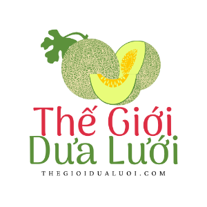 thegioidualuoi
