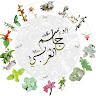 Mohammed 5i