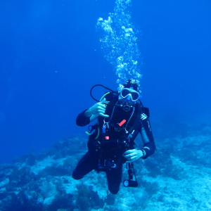 Diver1 0