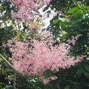 XuanDoan1993