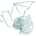 Psecologie