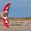 Kite_Nik