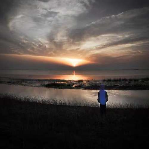 左岸